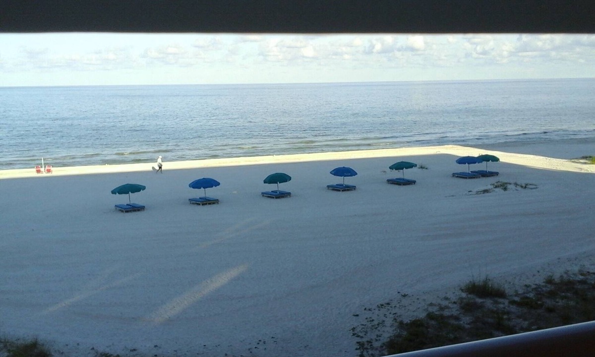 Indian Shores Condo | Beautiful beachfront couples retreat #202