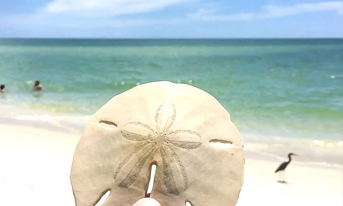 Naples Park Cottage | Beautiful Naples Home, walk to the Beach!
