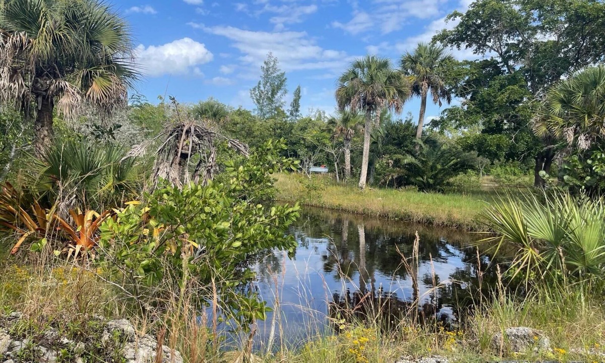 Saint James City House | Beautiful , serene and spacious downstairs 2-bedroom house in pine island