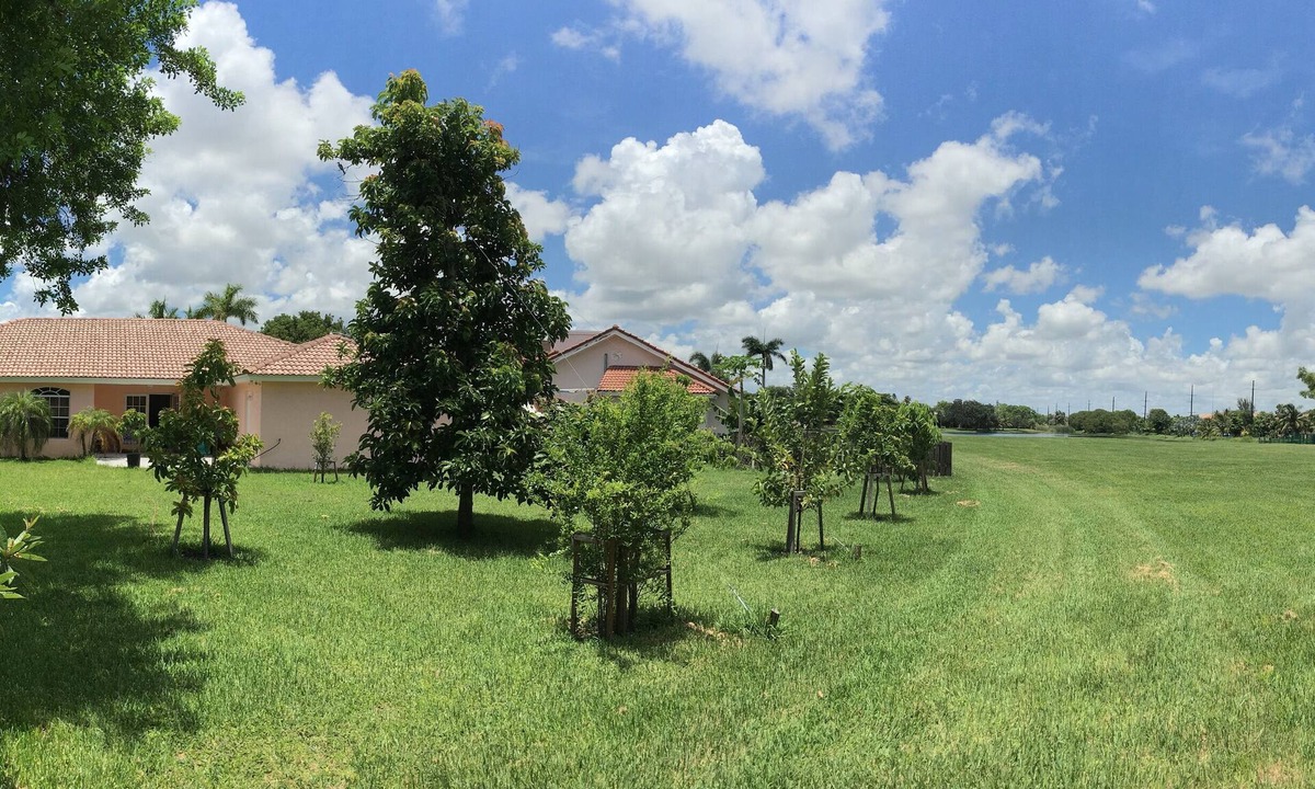 Homestead House | Best location to explore Everglades & the Florida Keys. Beautiful private home.
