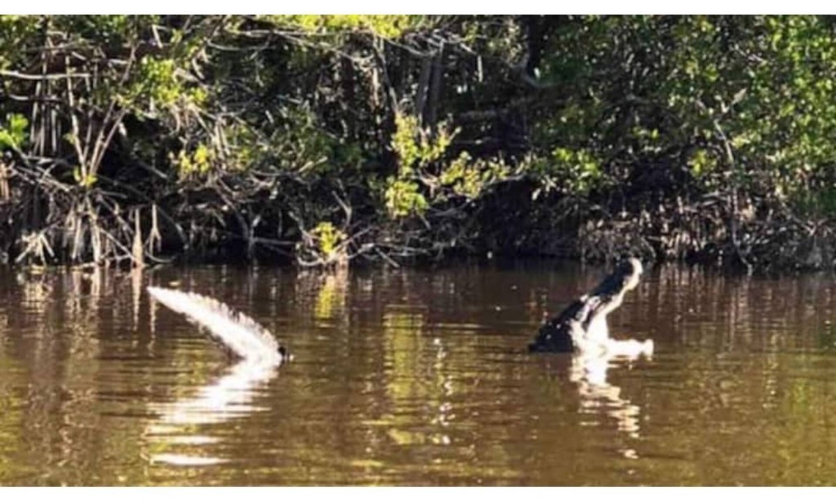 Collier County House | Coastal Getaway, Everglades City