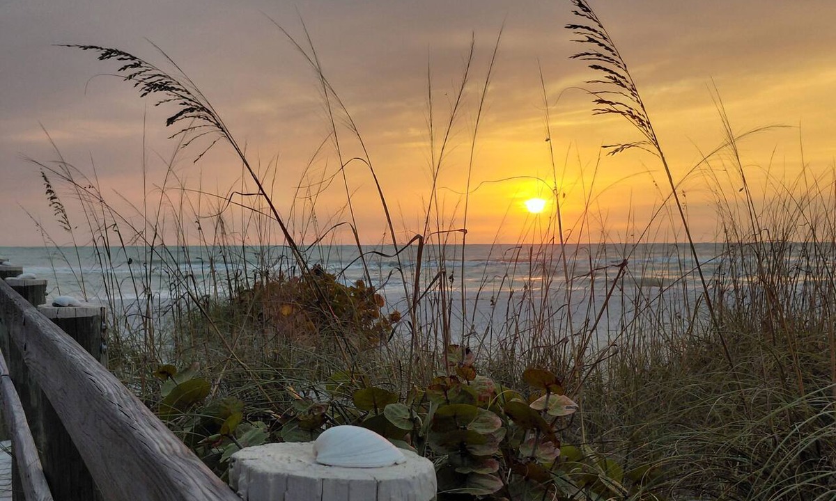 Placida Condo | Coastal Luxury: Fully Renovated Family Friendly Island Escape!