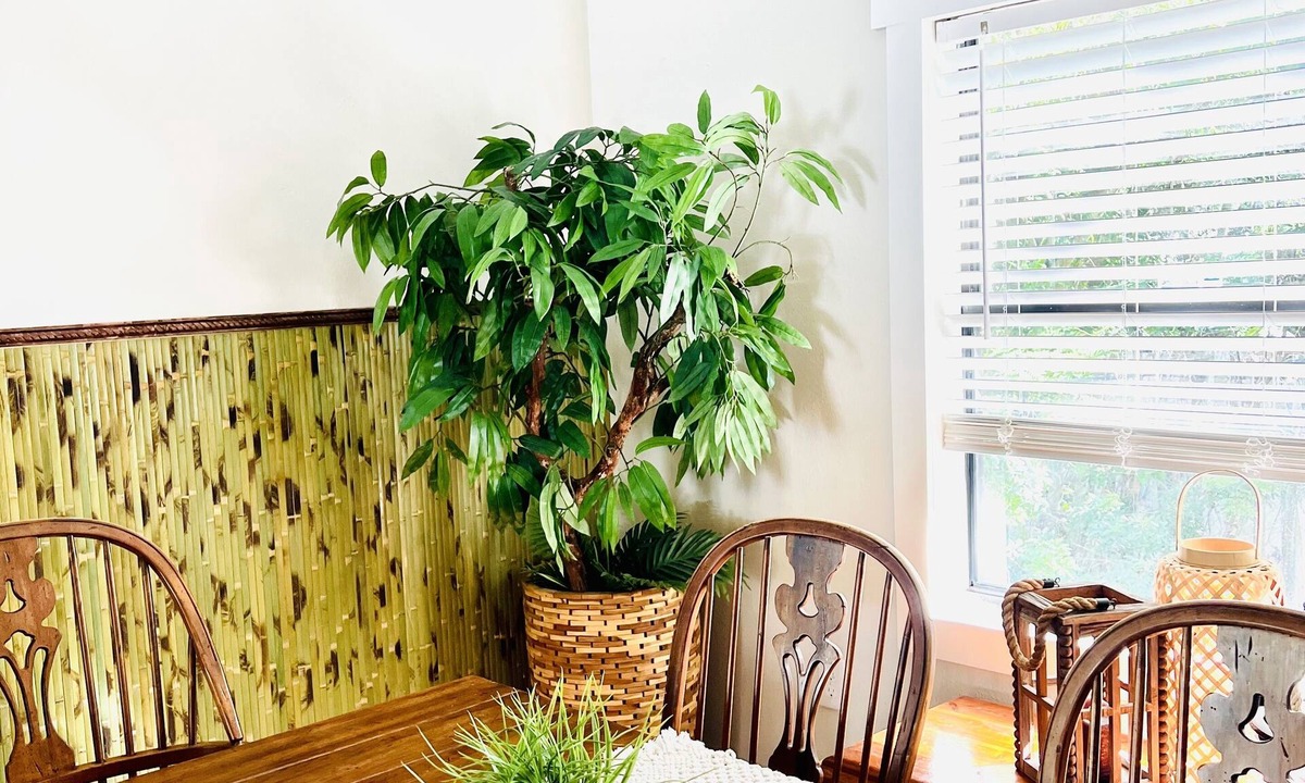 Bayou Oaks House | Cool cottage in a Private Oasis. Boat Parking. Nature and seclusion.