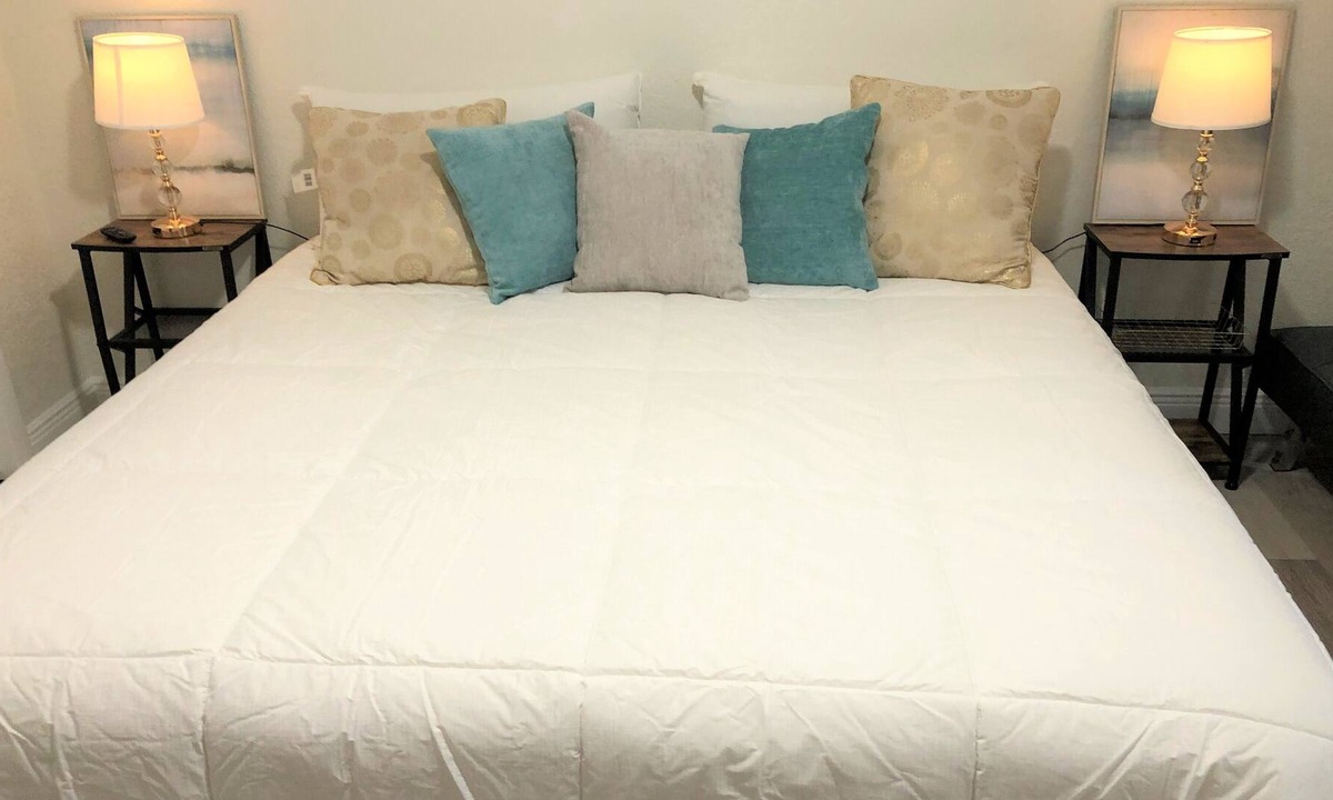 Carrollwood House | DESIRABLE NEIGHBORHOOD Guesthouse Carrollwood