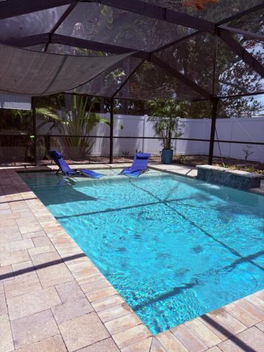 Town N County Park House | Escape to Tropical Tampa