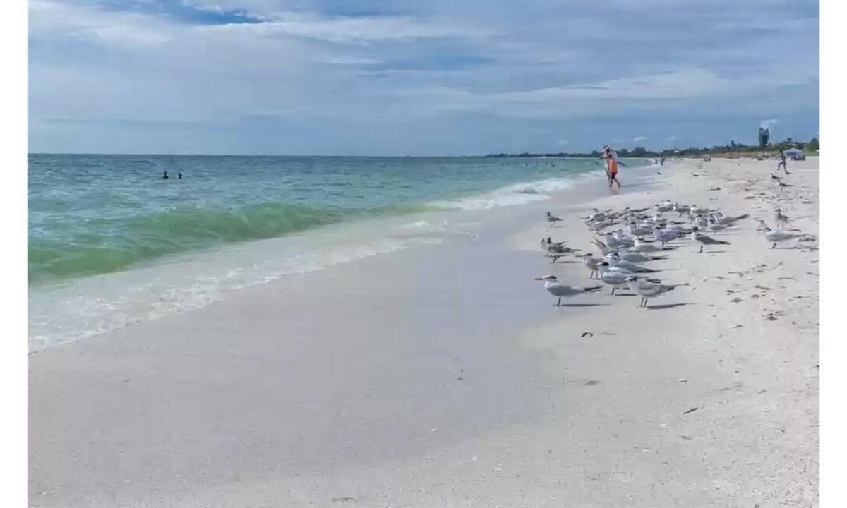 Osprey Condo | Gulf breezes in 2 bedroom tropical oasis - 10 min from beach!