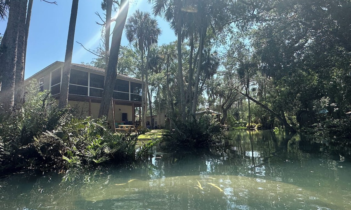 Weeki Wachee Gardens House | Hidden Spring Run Elevated Views 75" Smart TV kayaks Game Rm
