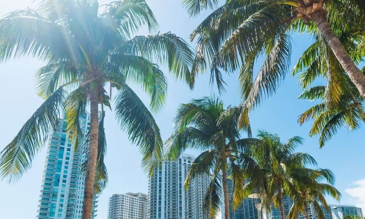 Northeast Miami Apartment | Large Studio w/Fast Wi-Fi + Free Parking Spot