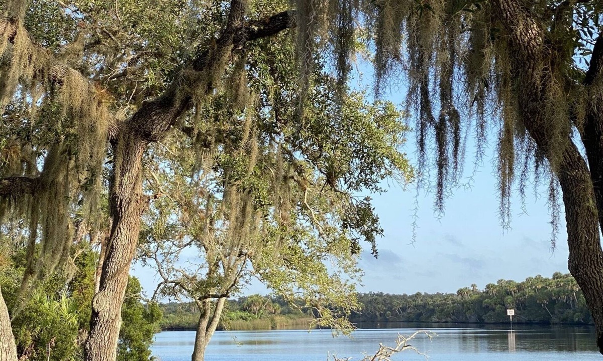 Venice House | Myakka River Hideaway Minutes to the Beautiful Gulf Beaches and Downtown Venice