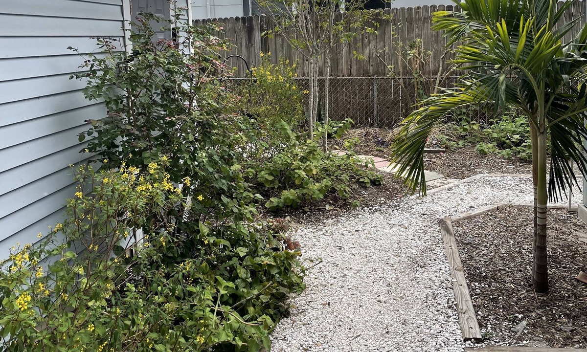 North Kenwood Cottage | North Kenwood Cottage. Minuets from Gulf Beaches and Down Town St Petersburg