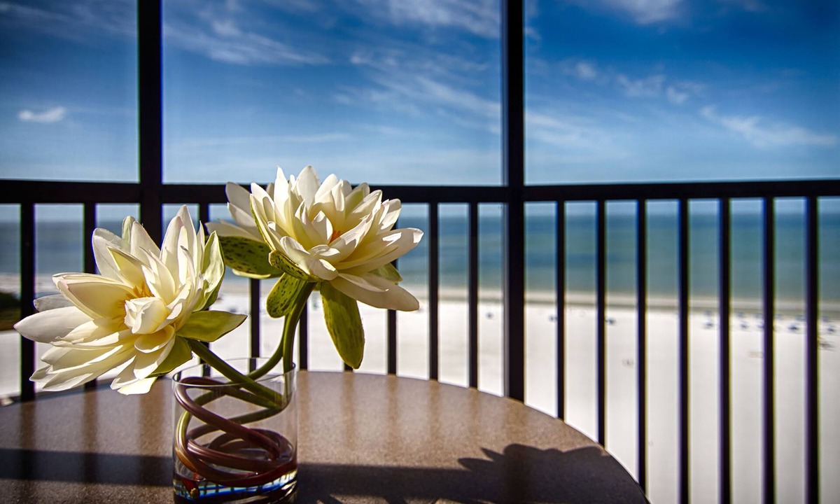 South Island Hotel | Pointe Estero Beach Resort