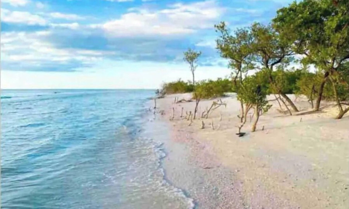 Palm Harbor House | *Pool* 8.5 miles to Honeymoon Island. 4 bdr