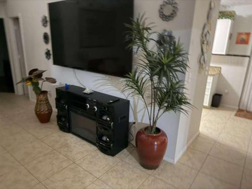 Port Saint Lucie House | Port St Lucie poolside oasis