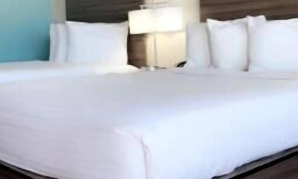 June Park House | Relax and Recharge! 3 Serene Units, Free Breakfast & Parking