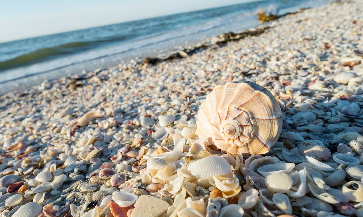Sanibel Hotel | Sanibel Island Beach Resort