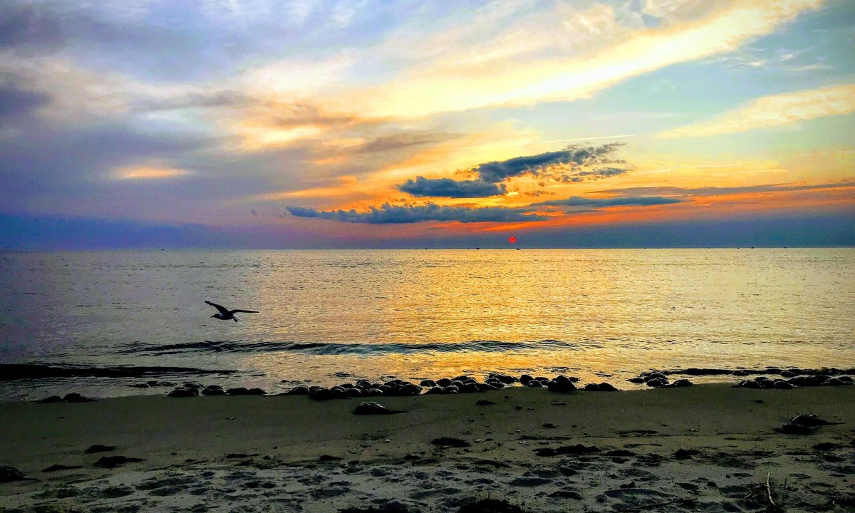 Town Bank House | Shore to Please. Big family, pet friendly beach house.