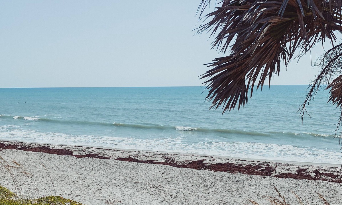 Gulfstream Beach Condo | The Beach Bungalow