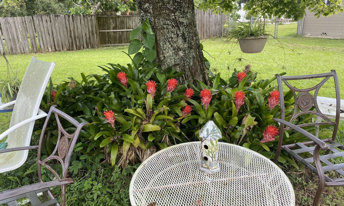 Historic Downtown Kissimmee Cottage | The Compass Cottage: A Cheerful 1 Bed /1 Bath