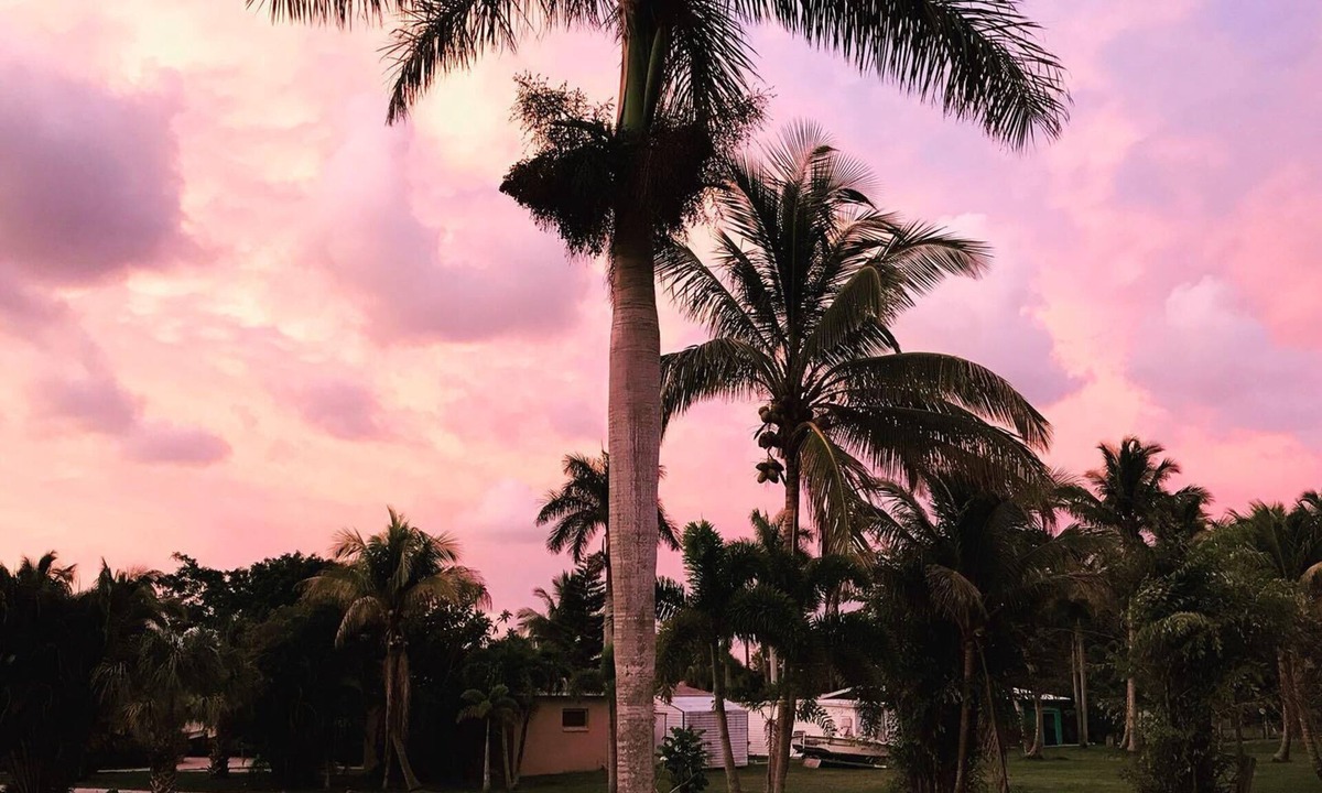 Bokeelia House | The Oasis: A cosy one-bedroom house in tropical Bokeelia with air conditioning