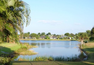 3 BR, 2 BA BEAUTIFUL LAKE VIEW SINGLE FAMILY HOME WITH POOL in BRIARWOOD