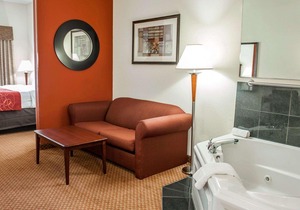 Comfort Suites Indianapolis Airport in Indianapolis