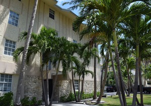 Coral Reef at Key Biscayne