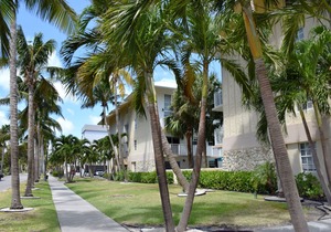 Coral Reef at Key Biscayne