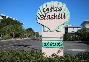 Seashell 6