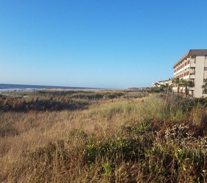 Hampton Place Hilton Head Island 