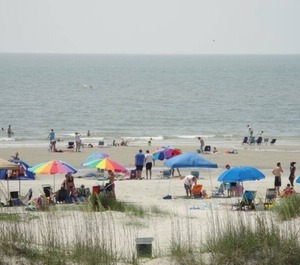 Hampton Place Hilton Head Island 