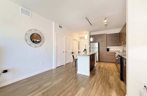 St. Petersburg - Clearwater Apartment | 1 BR Luxury Living, Central Downtown St. Pete