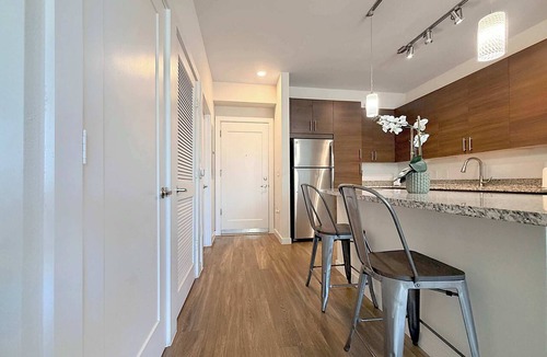 St. Petersburg - Clearwater Apartment | 1 BR Luxury Living, Central Downtown St. Pete