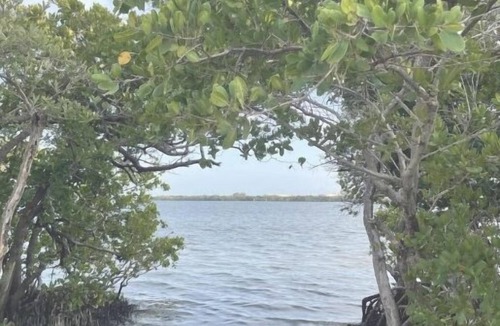 St. Petersburg Condo | 2/2 Beach Lovers Hide Away - Tampa / St Pete