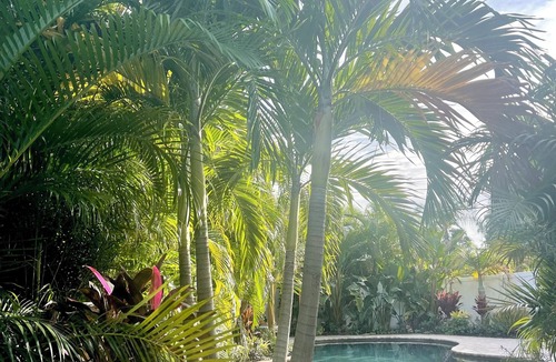 Crescent Heights House | 3 bedroom 2 bath private designer bungalow w/pool walk to everything in St Pete