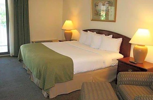 Tarpon Springs Hotel | 3-Star Hotel ∙ Quality Inn & Suites Tarpon Springs