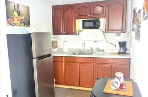 Temple Terrace Apartment | #33 Private in law suite near USF
