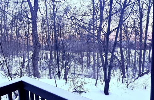 Vernon Condo | 4BR Treetop Oasis | Minerals, Hiking, Mountain Creek, Warwick | Nature views