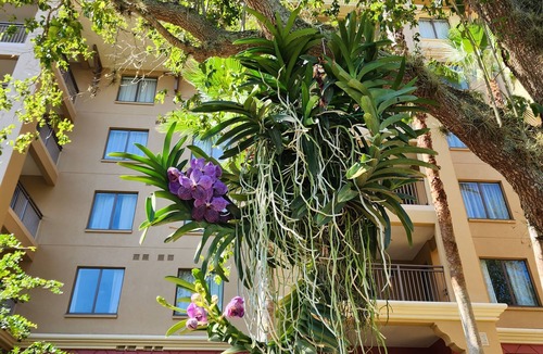 Lake Buena Vista Villa | 5 Pools, 2 Lazy Rivers & Lots of Family Fun- Bonnet Creek Resort.