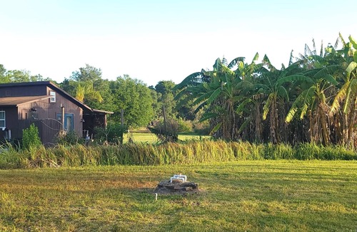 Timber Pond III Cabin | A place to be surrounded by nature within the city.