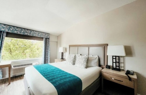 Key Largo Hotel | Adventure & Serenity: Private Sandy Beach, Free Bikes & Paddleboards!