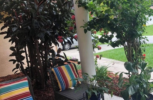 North Port House | Affordable Luxury in A Private and Quiet Setting