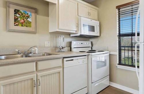 Clarkesville Apartment | Apple Mountain Resort | Resort Lifestyle Stay