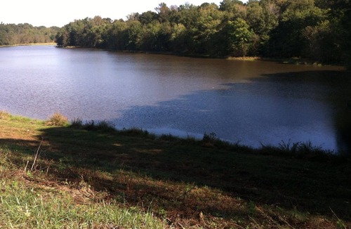 Nicholson Cabin | Athens Log Cabin Getaway -Private Lake, Campfire, Serenity