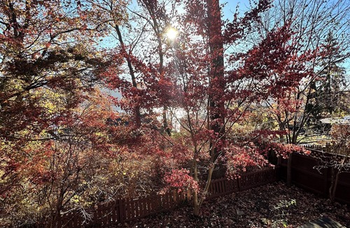 Greenwood Lake House | BillyMoe’s Bungalow, A low key 3 Bedroom house with lake view.