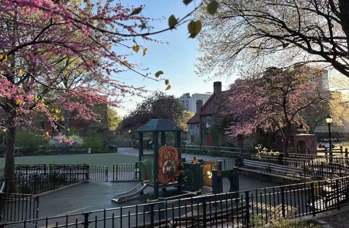 Park Slope Apartment | Charming Shared Unit with Host. Beautiful Park Slope on 5th Ave