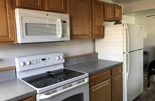 Ormond-by-the-Sea House | Charming Starfish Cottage! Walk to the beach and the river!