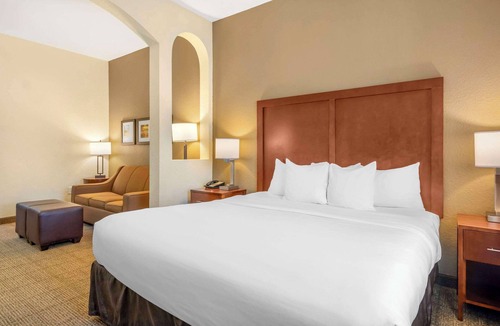 St. Petersburg - Clearwater Hotel | Comfort Inn & Suites Northeast - Gateway