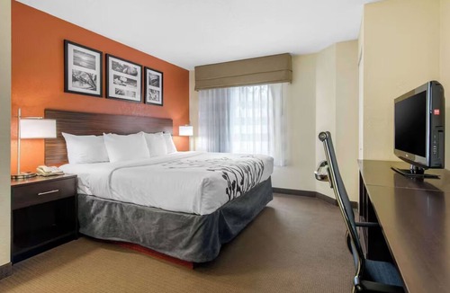 Bayou Oaks Hotel | Comfortable Stay w/1 King Bed Minutes from The Ringling Museum and Attractions