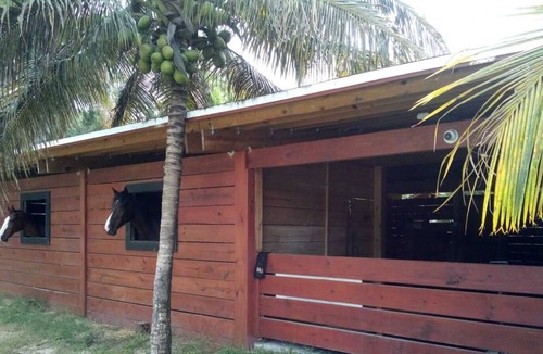 Loxahatchee Groves Apartment | Country Living 5 minutes From Civilization 2