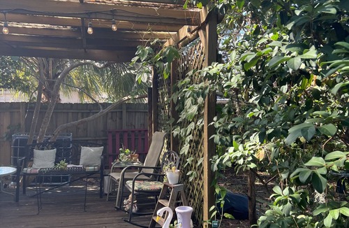 Alta Vista House | Cozy Florida cottage- 2 miles to downtown Sarasota, 4 miles to siesta key beach!